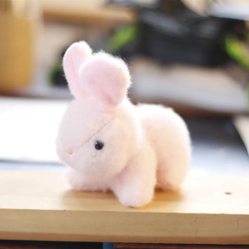 Lovely Plush Rabbit & Bear Doll,Coniglio,Key Chain Bag Pendant Stuffed Toys,Baby Kids Hare Birthday Gifts Bunny Rabbits Toy Ring