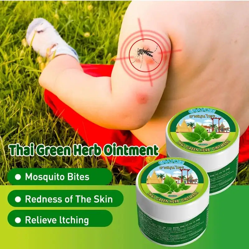 Mint Ointment Relieve Dry and Itchy Skin Cooling Cream Prevent Insect Bites Skin Redness and Swelling Treatment  Body Care 10g